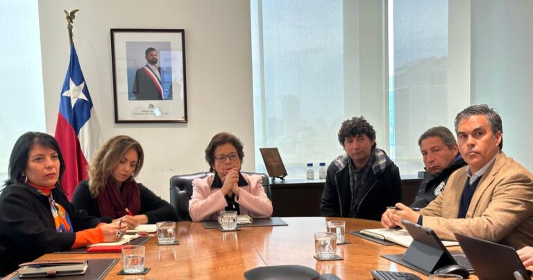Fesumin y CTMIN fortalecen la prevención de seguridad laboral en reunión con la Ministra de Minería