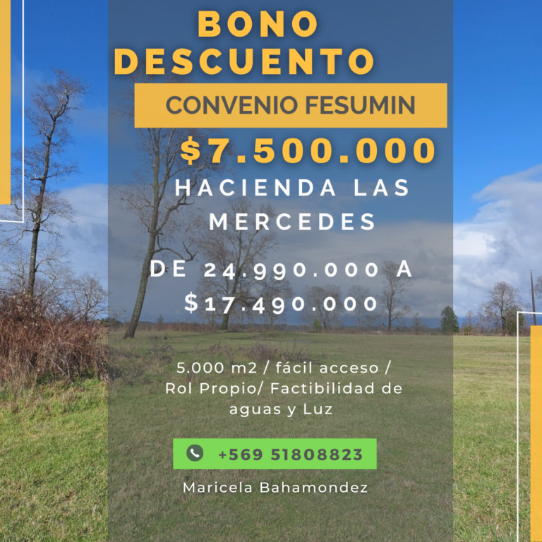 Fesumin asegura convenios exclusivos para sus socios en diversos áreas