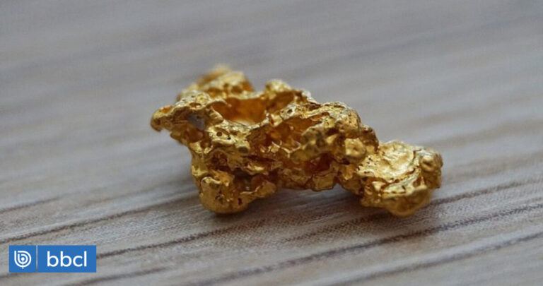 El oro resurge levemente ante las expectativas de recortes en las tasas de la Fed para el próximo año