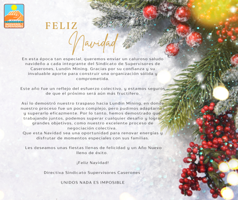 Feliz Navidad socios y socias