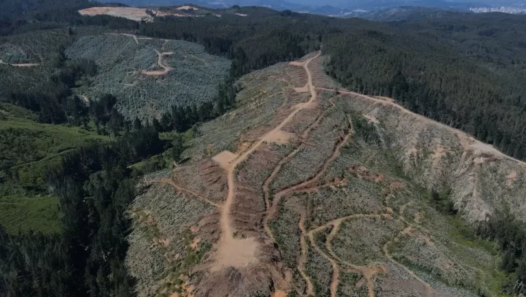 Alianza estratégica busca convertir a Chile en polo regional de tierras raras y cobalto